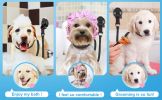 Dog Grooming Table Lanyard – Bathing & Blow-Dry Restraint Rope for Haircuts & Trims