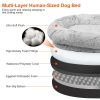 Human-Sized Dog Bed – Giant Bean Bag Lounger with Pillow & Blanket
