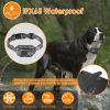 Citronella Spray Bark Collar – Gentle Anti-Barking Control for Small, Medium & Large Dogs  No Electric Shocks, IP65 Waterproof
