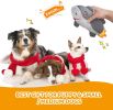 Tough Squeaky Plush Dog Toys – No Stuffing, Soft & Durable Chew Set for Small to Medium Puppies