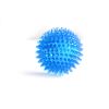 Squeaky Spike Dog Toy – Vocal Molar Chew for Small Breeds & Puppies